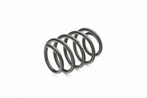 Eibach #E10-35-023-14-22 Pro-Kit Performance Springs for 2016-2019 Ford Focus RS